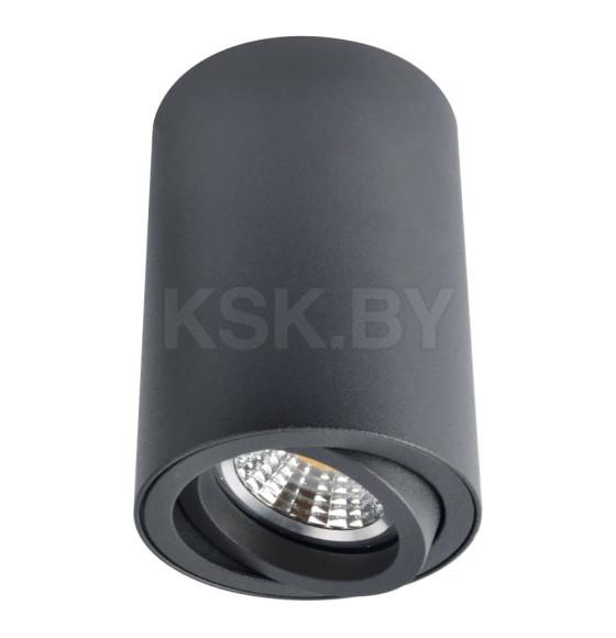 Светильник потолочный Arte Lamp SENTRY A1560PL-1BK (A1560PL-1BK) 