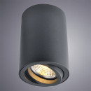 Светильник потолочный Arte Lamp SENTRY A1560PL-1BK (A1560PL-1BK) 