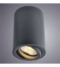 Светильник потолочный Arte Lamp SENTRY A1560PL-1BK