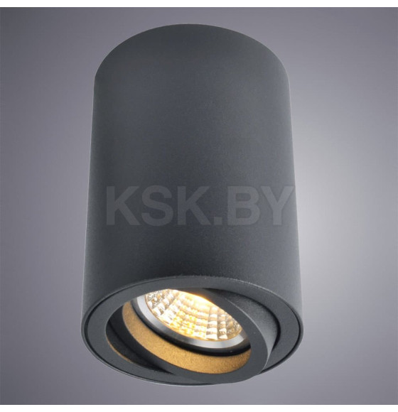 Светильник потолочный Arte Lamp SENTRY A1560PL-1BK (A1560PL-1BK) 