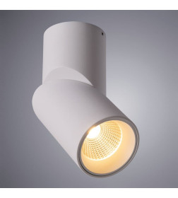 Светильник потолочный Arte Lamp MEISU A7717PL-1WH