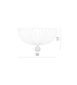 Светильник потолочный Divinare LIANTO 4010/02 PL-2