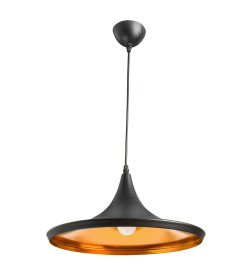 Светильник подвесной Arte Lamp CAPPELLO A3406SP-1BK