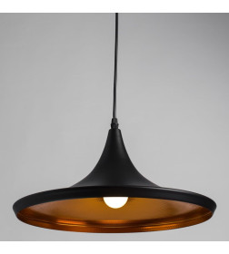 Светильник подвесной Arte Lamp CAPPELLO A3406SP-1BK