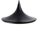 Светильник подвесной Arte Lamp CAPPELLO A3406SP-1BK (A3406SP-1BK) 