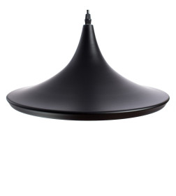 Светильник подвесной Arte Lamp CAPPELLO A3406SP-1BK