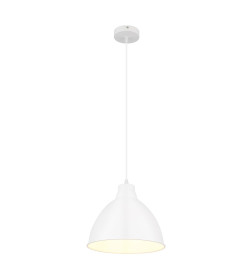 Светильник подвесной Arte Lamp BRACCIO A2055SP-1WH