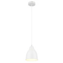 Светильник подвесной Arte Lamp BRACCIO A2054SP-1WH (A2054SP-1WH) 