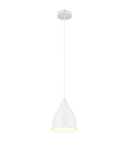 Светильник подвесной Arte Lamp BRACCIO A2054SP-1WH