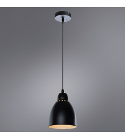 Светильник подвесной Arte Lamp BRACCIO A2054SP-1BK