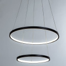 Светильник подвесной Arte Lamp FRODO A2197SP-2BK (A2197SP-2BK) 