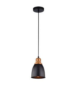 Светильник подвесной Arte Lamp EURICA A4248SP-1BK