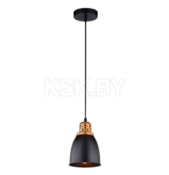 Светильник подвесной Arte Lamp EURICA A4248SP-1BK (A4248SP-1BK) 