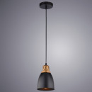 Светильник подвесной Arte Lamp EURICA A4248SP-1BK (A4248SP-1BK) 