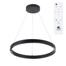 Светильник подвесной Arte Lamp LAO A2189LM-1BK (A2189LM-1BK) 