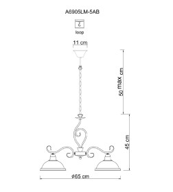 Светильник подвесной Arte Lamp SAFARI A6905LM-5AB