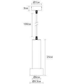 Светильник подвесной Arte Lamp RAN A3147SP-1PB