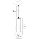 Светильник подвесной Arte Lamp RAN A3147SP-1BK (A3147SP-1BK) 