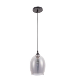 Светильник подвесной Arte Lamp PROPUS A4344SP-1BK