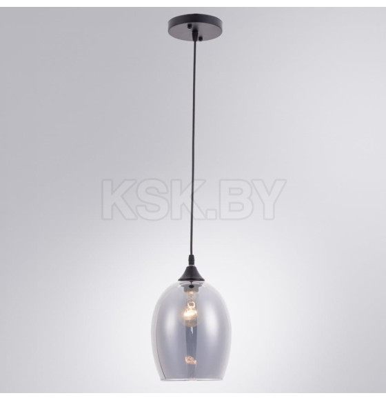 Светильник подвесной Arte Lamp PROPUS A4344SP-1BK (A4344SP-1BK) 