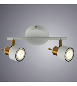 Светильник потолочный Arte Lamp ALMACH A1906PL-2WH