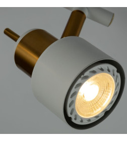 Светильник потолочный Arte Lamp ALMACH A1906PL-2WH