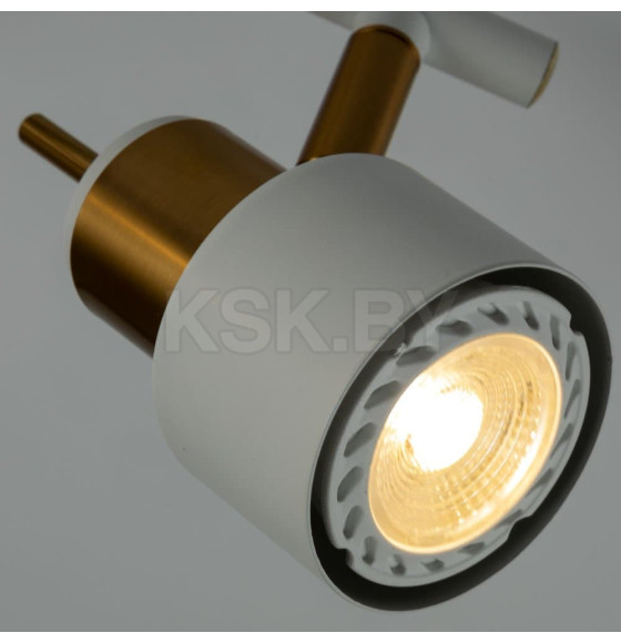 Светильник потолочный Arte Lamp ALMACH A1906PL-2WH (A1906PL-2WH) 