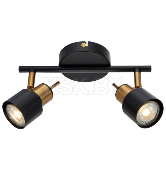 Светильник потолочный Arte Lamp ALMACH A1906PL-2BK 2*GU10 (A1906PL-2BK) 