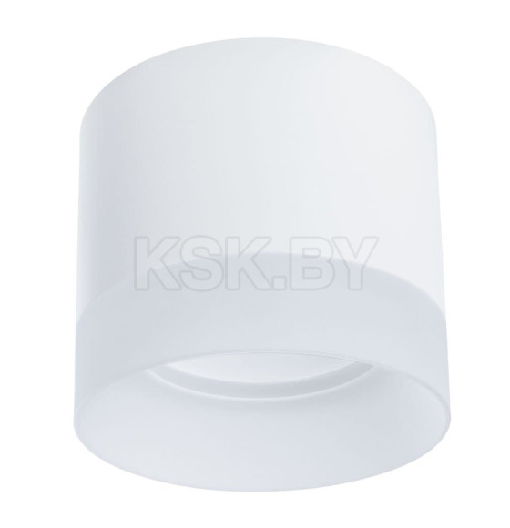 Светильник потолочный Arte Lamp CASTOR A5554PL-1WH (A5554PL-1WH) 