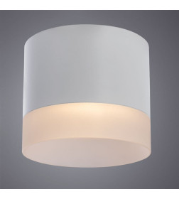 Светильник потолочный Arte Lamp CASTOR A5554PL-1WH