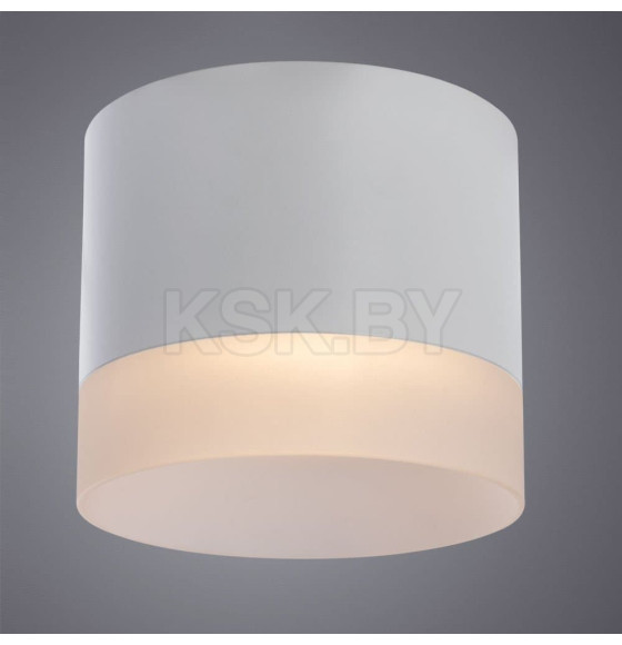 Светильник потолочный Arte Lamp CASTOR A5554PL-1WH (A5554PL-1WH) 