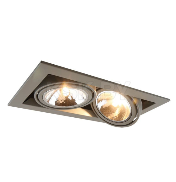 Светильник потолочный Arte Lamp CARDANI SEMPLICE A5949PL-2GY (A5949PL-2GY) 