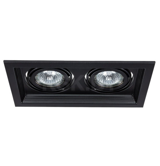 Светильник потолочный Arte Lamp CANIS A6661PL-2BK (A6661PL-2BK) 