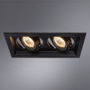 Светильник потолочный Arte Lamp CANIS A6661PL-2BK (A6661PL-2BK) 