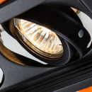 Светильник потолочный Arte Lamp CANIS A6661PL-2BK (A6661PL-2BK) 