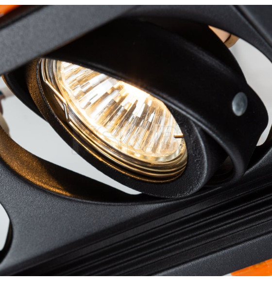 Светильник потолочный Arte Lamp CANIS A6661PL-2BK (A6661PL-2BK) 