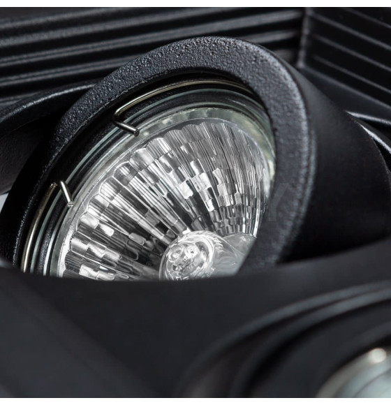 Светильник потолочный Arte Lamp CANIS A6661PL-2BK (A6661PL-2BK) 