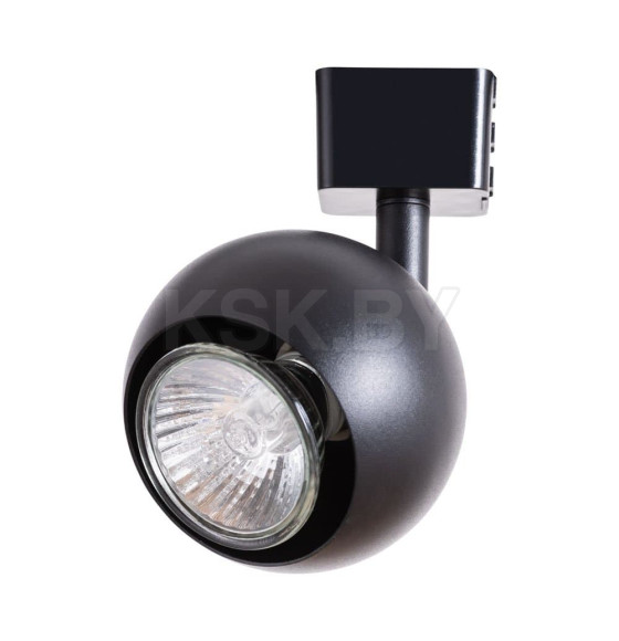 Светильник потолочный Arte Lamp BRAD A6253PL-1BK (A6253PL-1BK) 