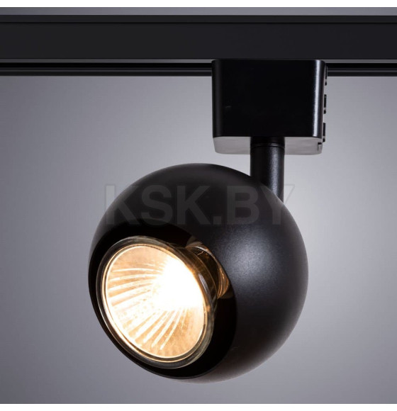 Светильник потолочный Arte Lamp BRAD A6253PL-1BK (A6253PL-1BK) 