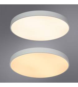 Светильник потолочный Arte Lamp ARENA A2671PL-1WH