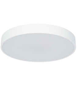 Светильник потолочный Arte Lamp ARENA A2661PL-1WH