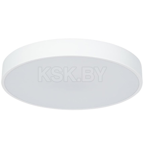 Светильник потолочный Arte Lamp ARENA A2661PL-1WH (A2661PL-1WH) 