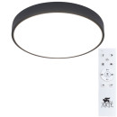 Светильник потолочный Arte Lamp ARENA A2661PL-1BK (A2661PL-1BK) 