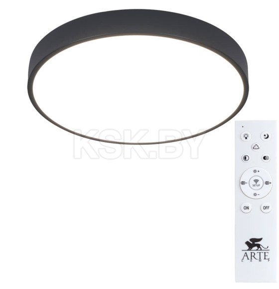 Светильник потолочный Arte Lamp ARENA A2661PL-1BK (A2661PL-1BK) 