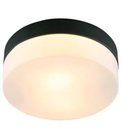 Светильник потолочный Arte Lamp AQUA-TABLET A6047PL-1BK
