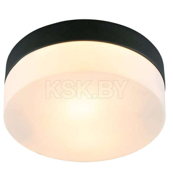 Светильник потолочный Arte Lamp AQUA-TABLET A6047PL-1BK (A6047PL-1BK) 
