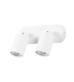 Светильник потолочный Arte Lamp AQUARIUS A3226PL-2WH