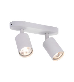 Светильник потолочный Arte Lamp AQUARIUS A3226PL-2WH