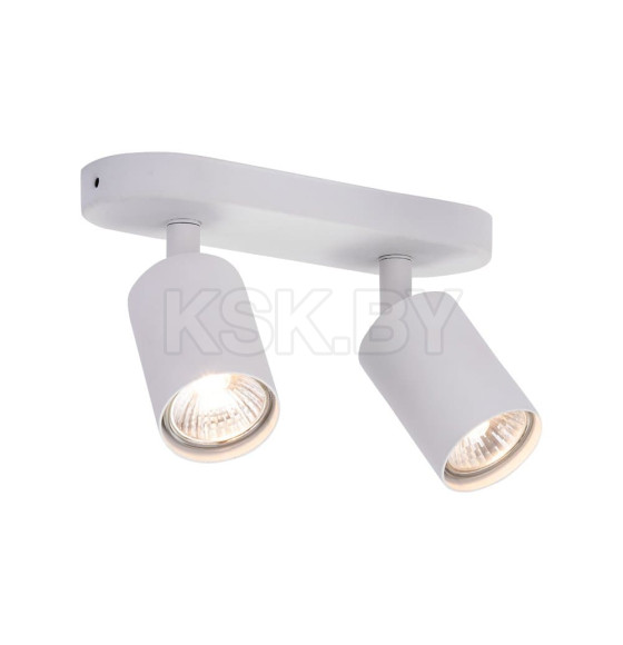 Светильник потолочный Arte Lamp AQUARIUS A3226PL-2WH (A3226PL-2WH) 