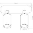 Светильник потолочный Arte Lamp AQUARIUS A3226PL-2BK (A3226PL-2BK) 